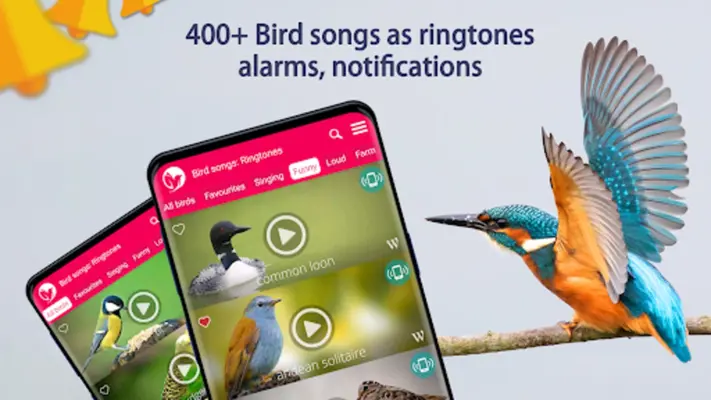 Bird Songs Ringtones android App screenshot 0