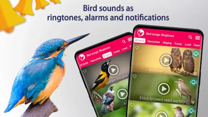 Bird Songs Ringtones android App screenshot 1