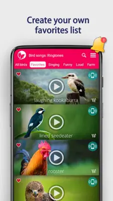 Bird Songs Ringtones android App screenshot 2