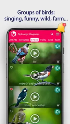 Bird Songs Ringtones android App screenshot 3