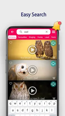 Bird Songs Ringtones android App screenshot 4