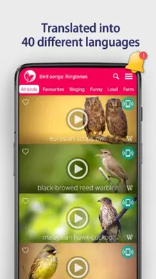 Bird Songs Ringtones android App screenshot 5