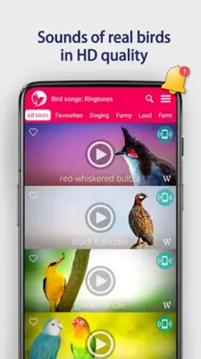 Bird Songs Ringtones android App screenshot 7