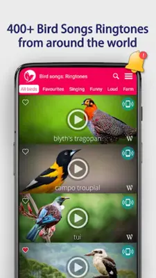 Bird Songs Ringtones android App screenshot 8